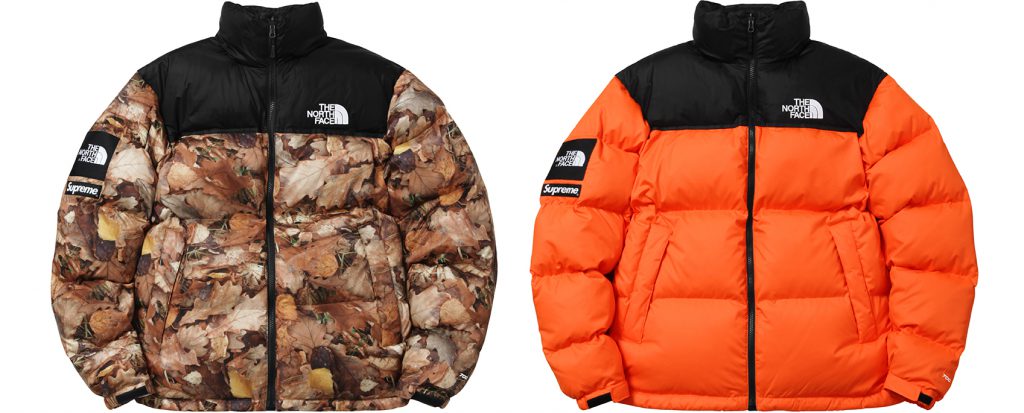 Supreme / The North Face. | Fool's Judge Street Blog